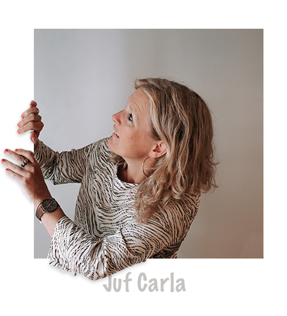 Carla V2 Carla V2
